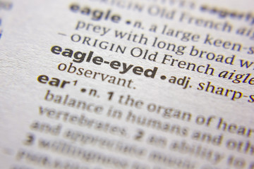 Word or phrase Eagle-eyed in a dictionary.