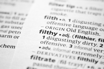 Word or phrase filthy in a dictionary.