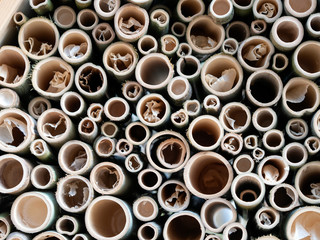 worm house in a park