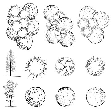 A set of treetop symbols, for architectural or landscape design