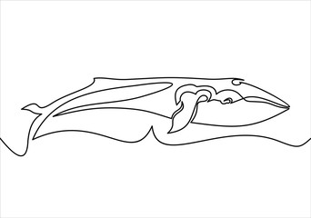 one line whale design silhouette.hand drawn minimalism style illustration