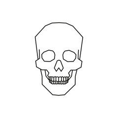 Calavera, cráneo, ilustración vectorial anatomía, Halloween