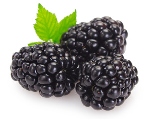 Fresh blackberry on white background
