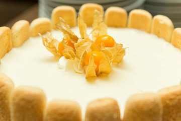 Delicious vanilla pie with physalis on the top and crackers on the sides. Tasty home made dessert. Selective focus.
