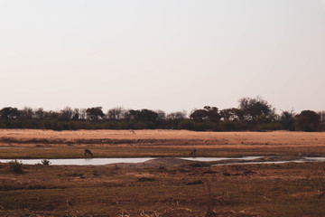 Fototapeta na wymiar water hole in africa
