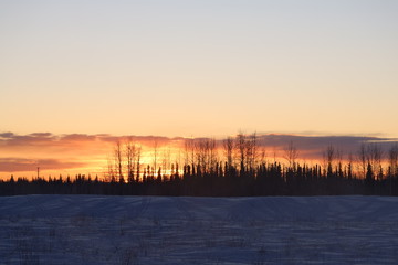 Sunrise through the tress