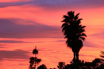 Spectacular sunset with pink color