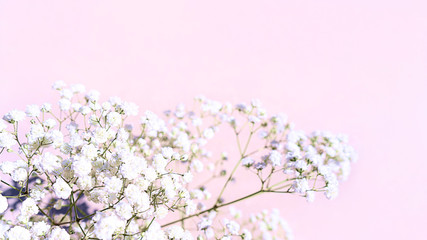 Beautiful bouquet of white flowers with shadows on light pink background.