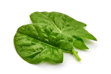 Fresh leaves of spinach, isolated on white background