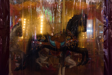 The black horse behind a plastic curtain