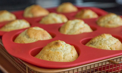 Freshly baked delicious banana nut muffins in a red tray. Fresh from the oven.