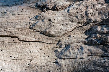 Hiking on the Pacific Crest Trail