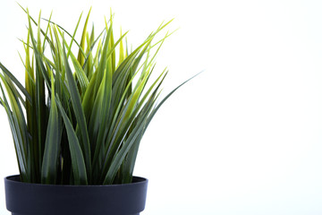  Artificial flowers grass different form in a pot isolated on white background close up 