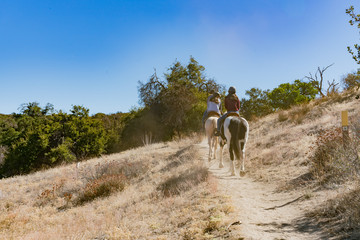 Horse back riding on the Pacific Crest Trail