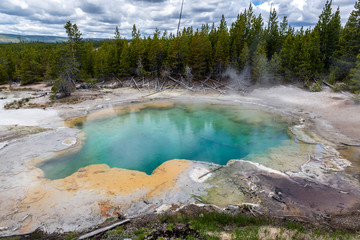 Emerald Spring at hot volcanic pool in Yellowstone National Park