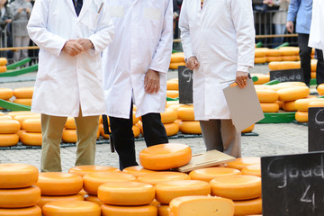 Traditional cheese market in Alkmaar, Holland