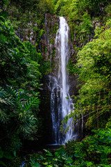 Fototapeta na wymiar Waterfall along the road to hana