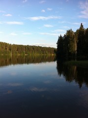 Fototapeta na wymiar Lake in the forest on summer