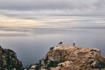 Two seagull on edge of limestone mountain, no people, picturesque view to Mediterranean Sea and cloudy sky, Natural Park of Penyal d'Ifac, Calpe, Province of Alicante, Spain