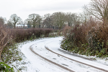 Fototapeta premium road in winter forest