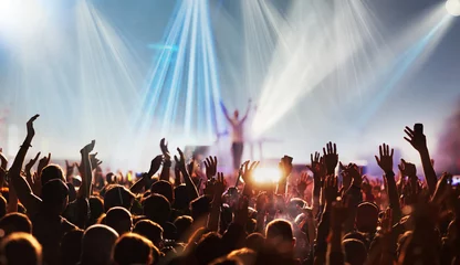 Fototapeten crowd with raised hands at concert festival banner © Melinda Nagy