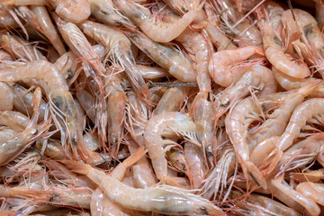 Raw fresh shrimp at the counter in the store.