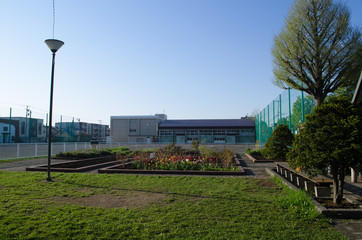 朝の学校の風景
