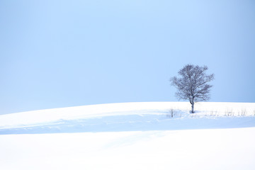 北海道の冬景色