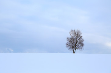 北海道の冬景色