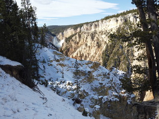 Waterfall in distance at Yellowstone National Park, Wyoming