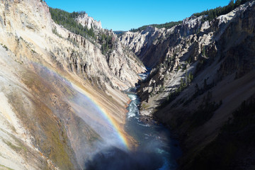The mist coming up from the force of Yellowstone's Lower Falls creates a rainbow in front of the river as it journeys down the canyon.