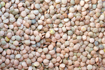 Grains of green lentils top view background. Raw lentils close-up.