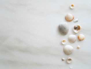 Fototapeta na wymiar Clustered seashells on marble background