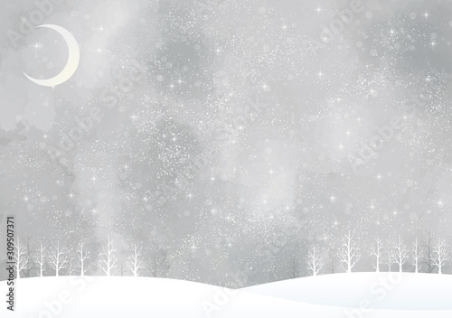 冬の景色 水彩 冬 景色 木 木々 雪 丘 雪山 林 森 星 夜空 キラキラ 月 Wall Mural Okaka08