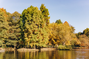 Fototapeta premium Reflection of autumn trees in the lake. Beautiful autumn landscape on the lake. Beautiful autumn landscape.