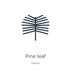 Pine leaf icon vector. Trendy flat pine leaf icon from nature collection isolated on white background. Vector illustration can be used for web and mobile graphic design, logo, eps10