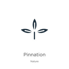 Pinnation icon vector. Trendy flat pinnation icon from nature collection isolated on white background. Vector illustration can be used for web and mobile graphic design, logo, eps10