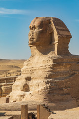 Fototapeta na wymiar Great Sphinx of Giza in front of the Great Pyramid of Giza