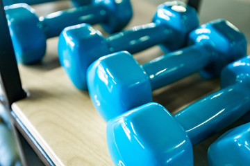 Light blue dumbbells lie on the shelf of the fitness room