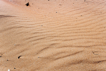 Beautiful sand dunes in desert