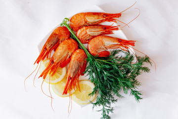 Shrimp on a plate with lemon and dill. White background