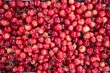 Lots of cherries. Red berries cherries. Cherry background.
