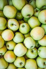 Background of green apples. Lots of green apples. Beautiful background of green apples