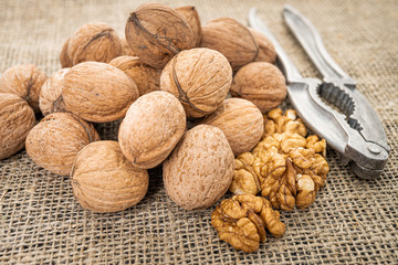 Walnut kernel background. Nutcracker with walnut