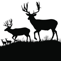 Vector silhouettes of two large male mule deer bucks and two female doe deer in the background.