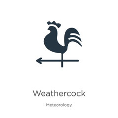 Weathercock icon vector. Trendy flat weathercock icon from meteorology collection isolated on white background. Vector illustration can be used for web and mobile graphic design, logo, eps10