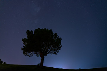 Fototapeta na wymiar Beautiful night sky with a tree around Page