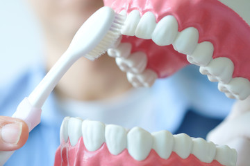 Obraz premium hands of a dentist, he is demonstrating how to brush your teeth properly. To clean the teeth and oral cavity.