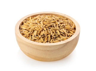 paddy rice seed in woo bowl on white background