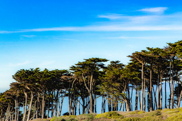 Lands End Park on Sutro Heights in San Francisco